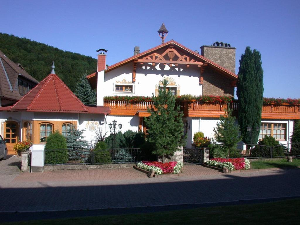 Hotel Muehlenberg Bad Sachsa Exterior foto